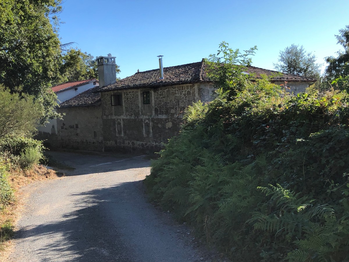 8Rl9rhD9T8qZCvVJabepMA