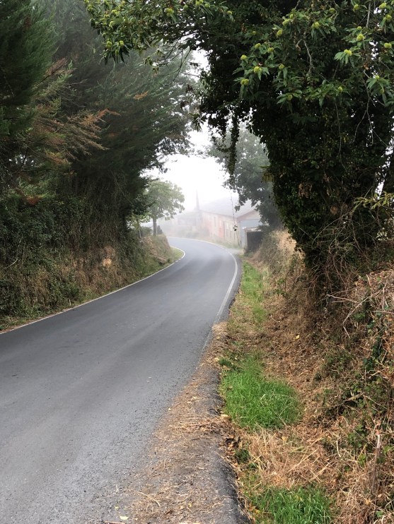 RLSrvupGTlyq+28mNB3vZg